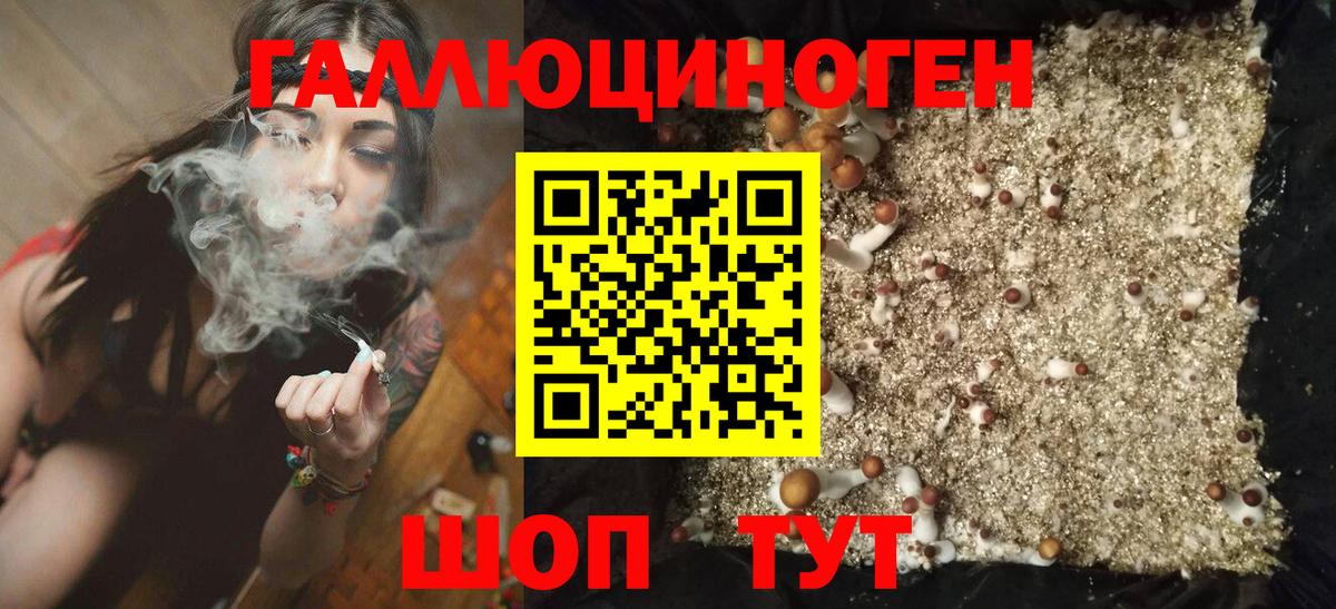 Псилоцибиновые грибы MAGIC MUSHROOMS  Вход с VPN  Сызрань  Псилоцибиновые грибы мицелий 